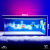 Diorama Garage 1:64 - Neon Blue Themed Showroom Edition